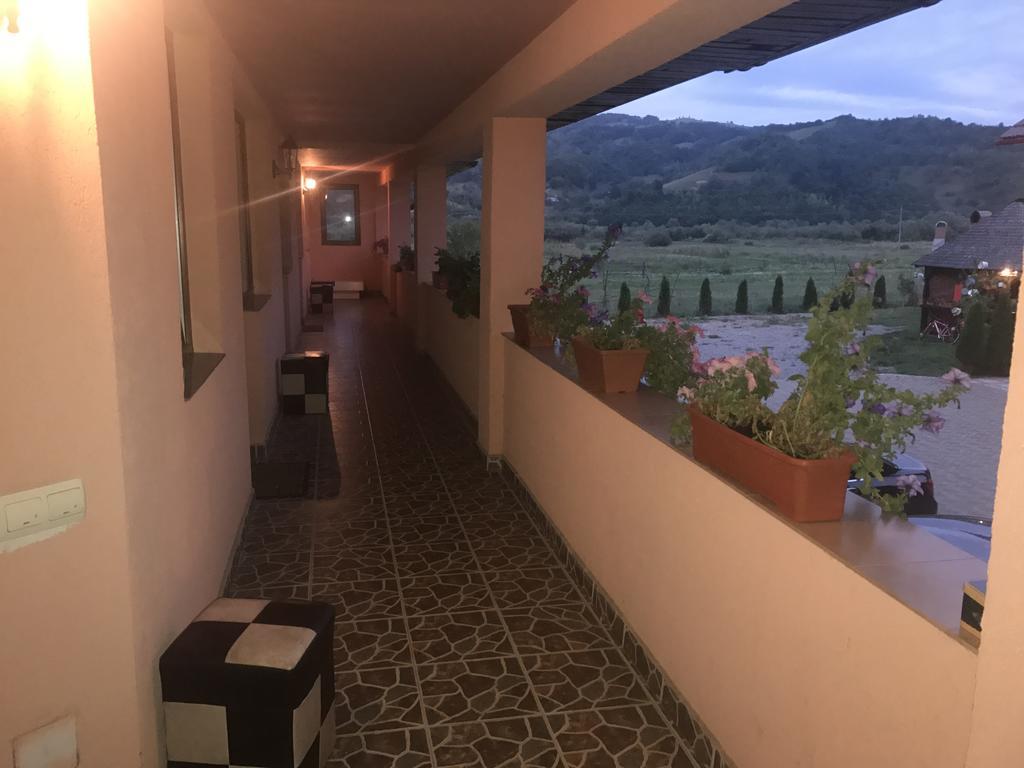 Pensiunea Sasu Şieu Esterno foto